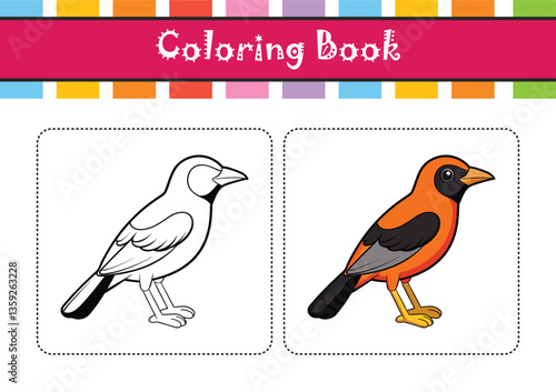  Exquisite Altamira Oriole Bird Illustration