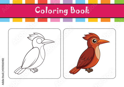  Vivid Amazonian Woodcreeper Bird Illustration