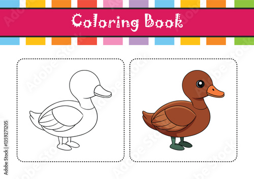  Charming Baer's Pochard Bird Illustration