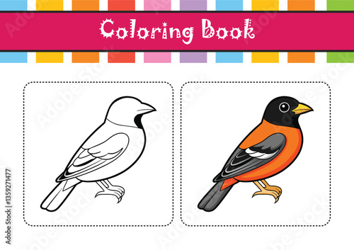  Dynamic Baltimore Oriole Bird Artwork