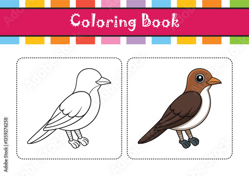  Elegant Black-Billed Cuckoo Bird Illustration