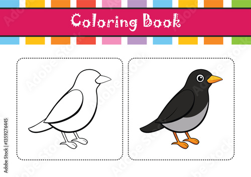  Vivid Black-Breasted Thrush Bird Design