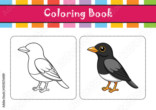  Stunning Black-Breasted Thrush Bird Representation