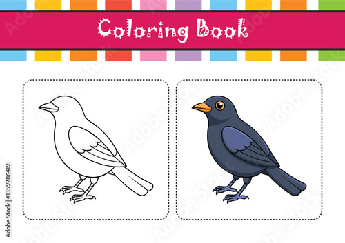  Realistic Brewer's Blackbird Bird Illustration