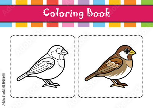  Stunning Brewer's Sparrow Colorful Illustration