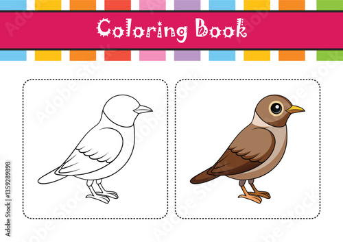  Charming Burmese Bush Lark Bird Illustration