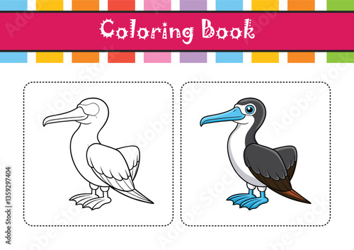  Vivid Christmas Frigatebird Bird Representation