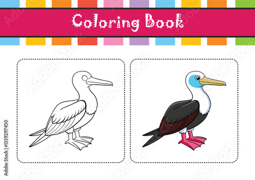  Charming Christmas Frigatebird Bird Illustration