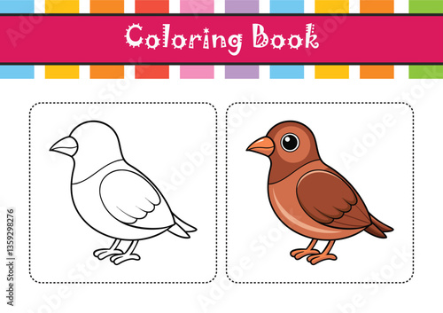  Vivid Cinnamon Quail Thrush Bird Design
