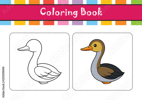  Clark's Grebe Bird Realistic Art
