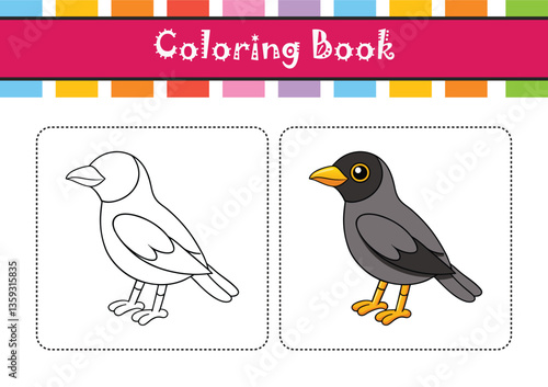  Common Hill Myna Bird Colorful Artwork