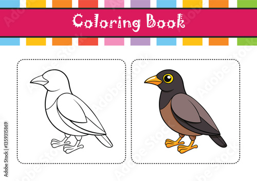  Common Hill Myna Bird Realistic Art