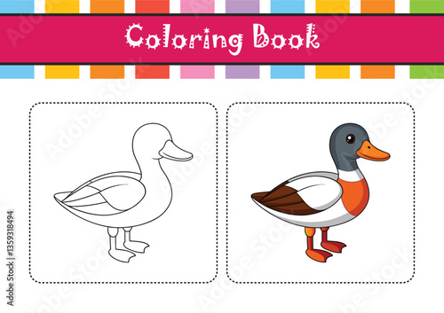  Common Shelduck Bird Realistic Art