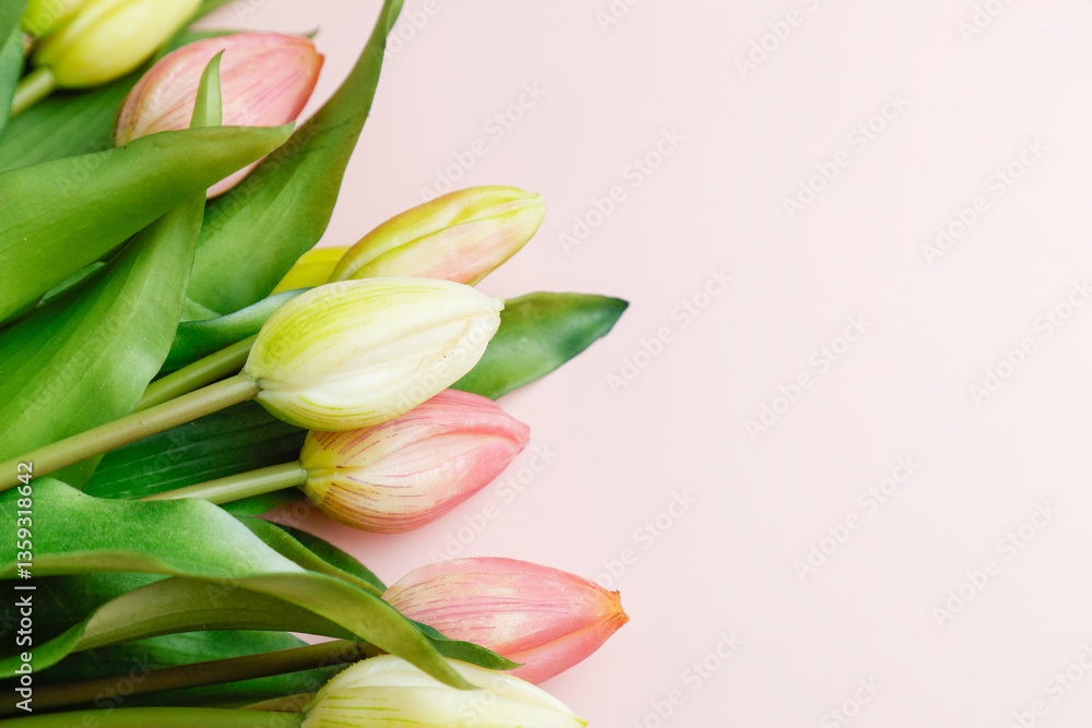 Bouquet of beautiful tulip flowers on pink background. Bouquet of beautiful tulip flowers on pink background.