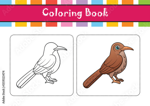  Elegant Curve-billed Thrasher Bird Vector