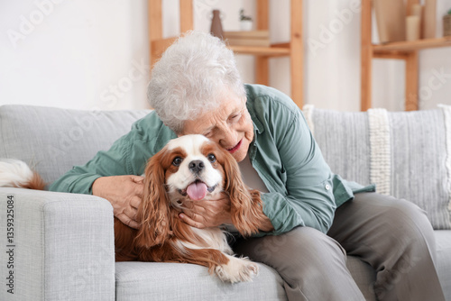 Fotografie Senior woman with cute cavalier King Charles spaniel dog sitting on sofa at home