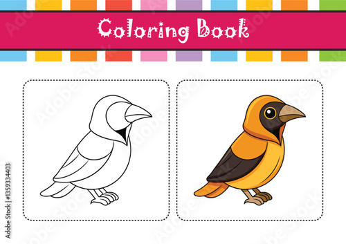 Realistic Hooded Oriole Bird Illustration
