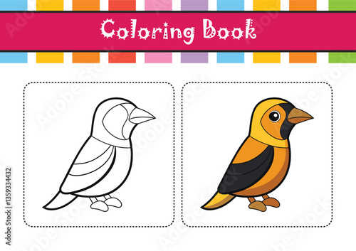  Hooded Oriole Bird Colorful Artwork