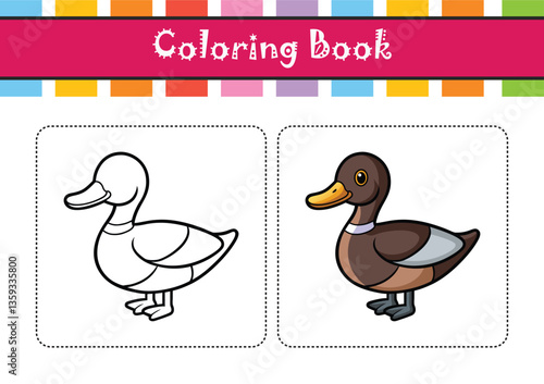  Elegant Lesser Scaup Bird Vector