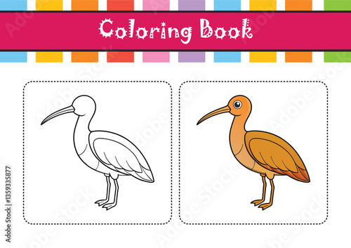  Elegant Long-billed Curlew Bird Vector