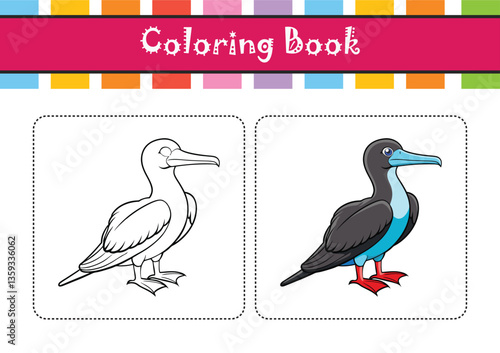  Charming Magnificent Frigatebird Bird Design