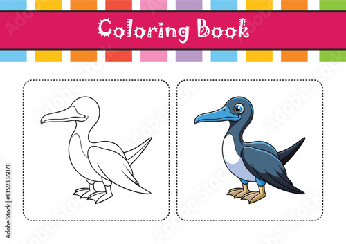  Stunning Magnificent Frigatebird Bird Illustration
