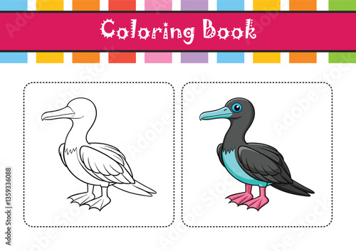  Elegant Magnificent Frigatebird Bird Vector