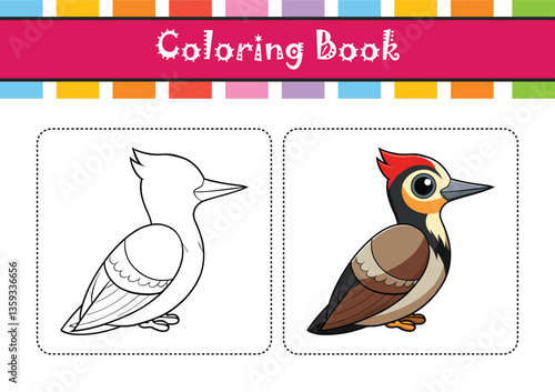  Nuttall's Woodpecker Bird Realistic Art