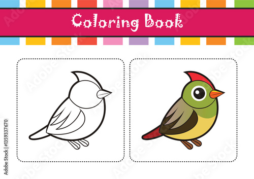 Ruby-Crowned Kinglet Bird Realistic Illustration
