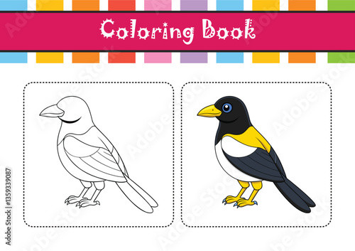  Elegant Yellow-billed Magpie Bird Vector