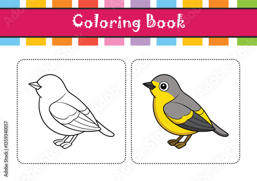  Elegant Yellow-rumped Warbler Bird Vector