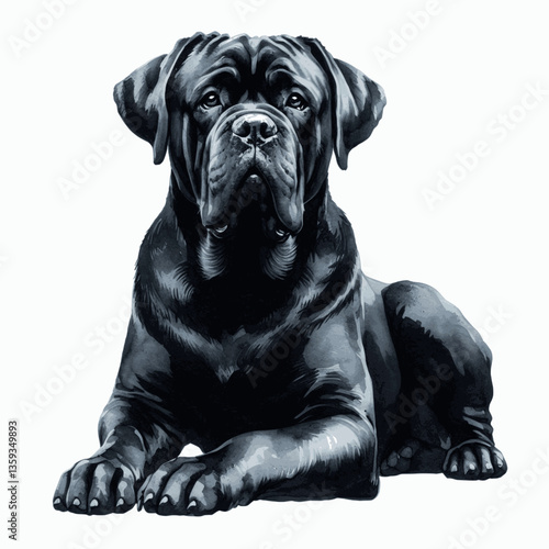 Cane Corso dog isolated watercolor vector illustration svg