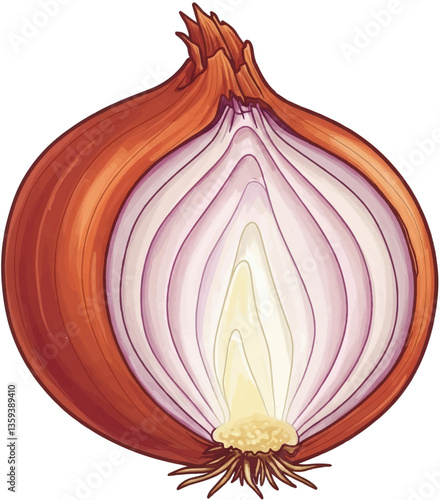 onion isolated on white