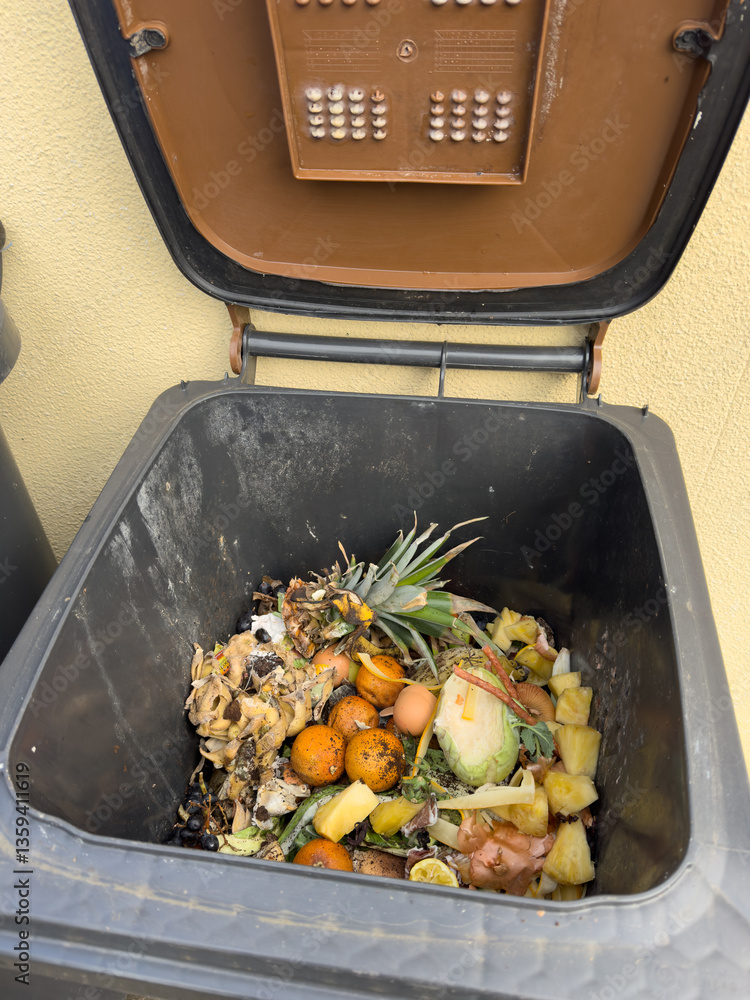 Organic waste and household waste from a brown waste bin vertical
