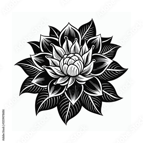 vector illustration of lotus flower