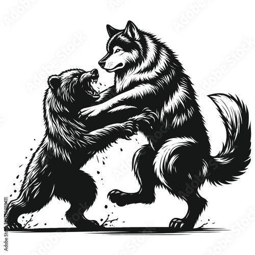 A wolf battling a bear black color vector isolated white background