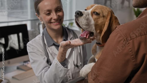 Over the shoulder shot of smiling female veterinarian in white coat gently petting and comforting cute beagle being held by male owner during medical checkup at clinic