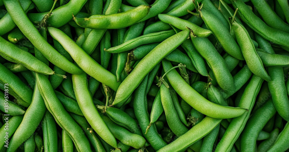 fresh green beans fresh green beans