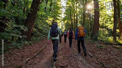 Wallpaper Mural A group walks along a forest trail covered in fallen leaves, bathed in warm light of sunset, as they enjoy the beauty of nature and camaraderie Torontodigital.ca