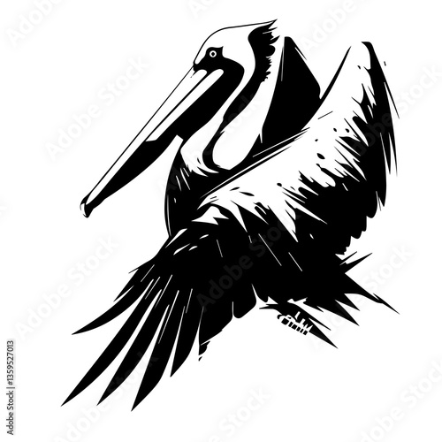 Pelican illustration with transparent background.