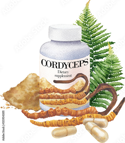 Watercolor plastic bottle of a Cordyceps mushroom supplement decorated with fern leaves, moss, pills and powder