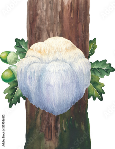 Watercolor Lion's Mane mushroom growing on a mossy tree trunk. Hand-painted design isolated on a white background