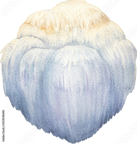 Realistic watercolor Lion's Mane mushroom isolated on a white background