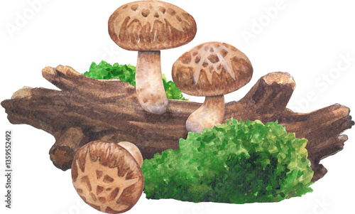 Realistic watercolor Shiitake mushroom surrounded with a log and moss