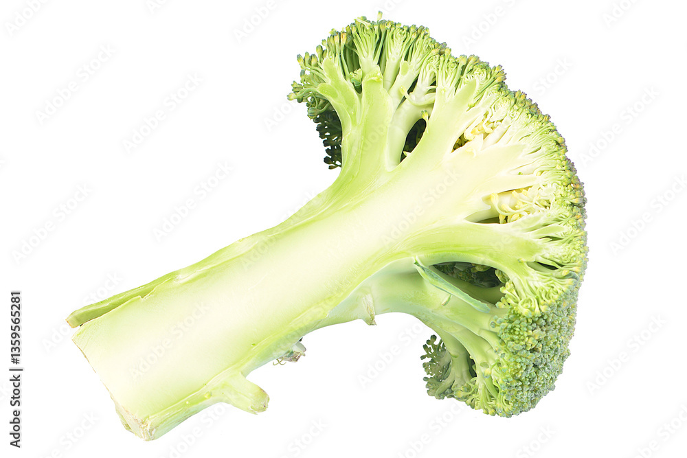 Fresh broccoli isolated on white