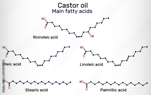 Castor oil main fatty acids. Ricinoleic, oleic, linoleic, stearic, palmitic acid molecule. Vector scientific illustration