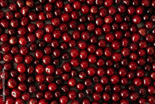 A multitude of small red berries, cherries, and sweet cherries, fill the frame. The glossy surface of the berries reflects light, creating a bright texture and contrast against the dark background.