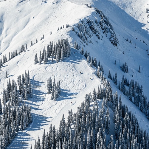 snow covered mountains