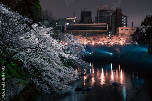 千鳥ヶ淵の夜桜