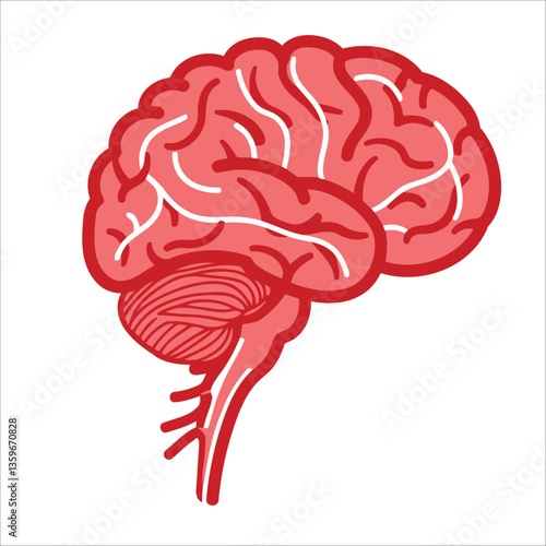 Brain Vector Illustration – High-Quality Medical and Science Graphic